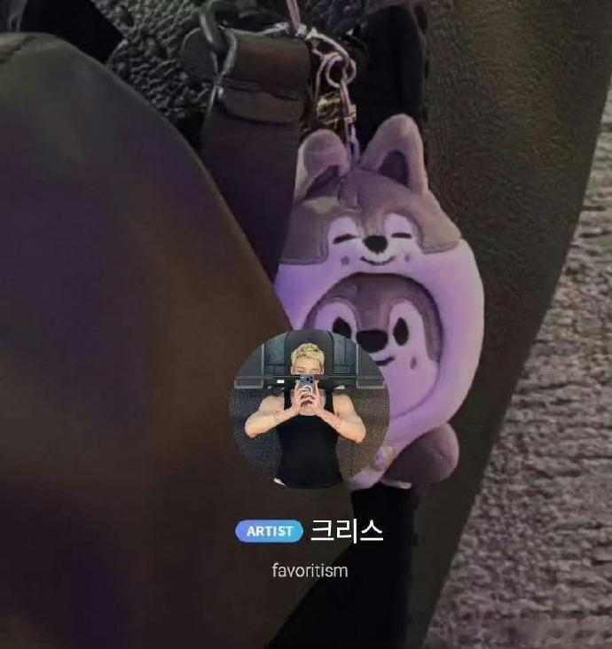 方灿疑似内涵李龙馥 方灿泡泡简介改成favoritism，疑似内涵felix李龙