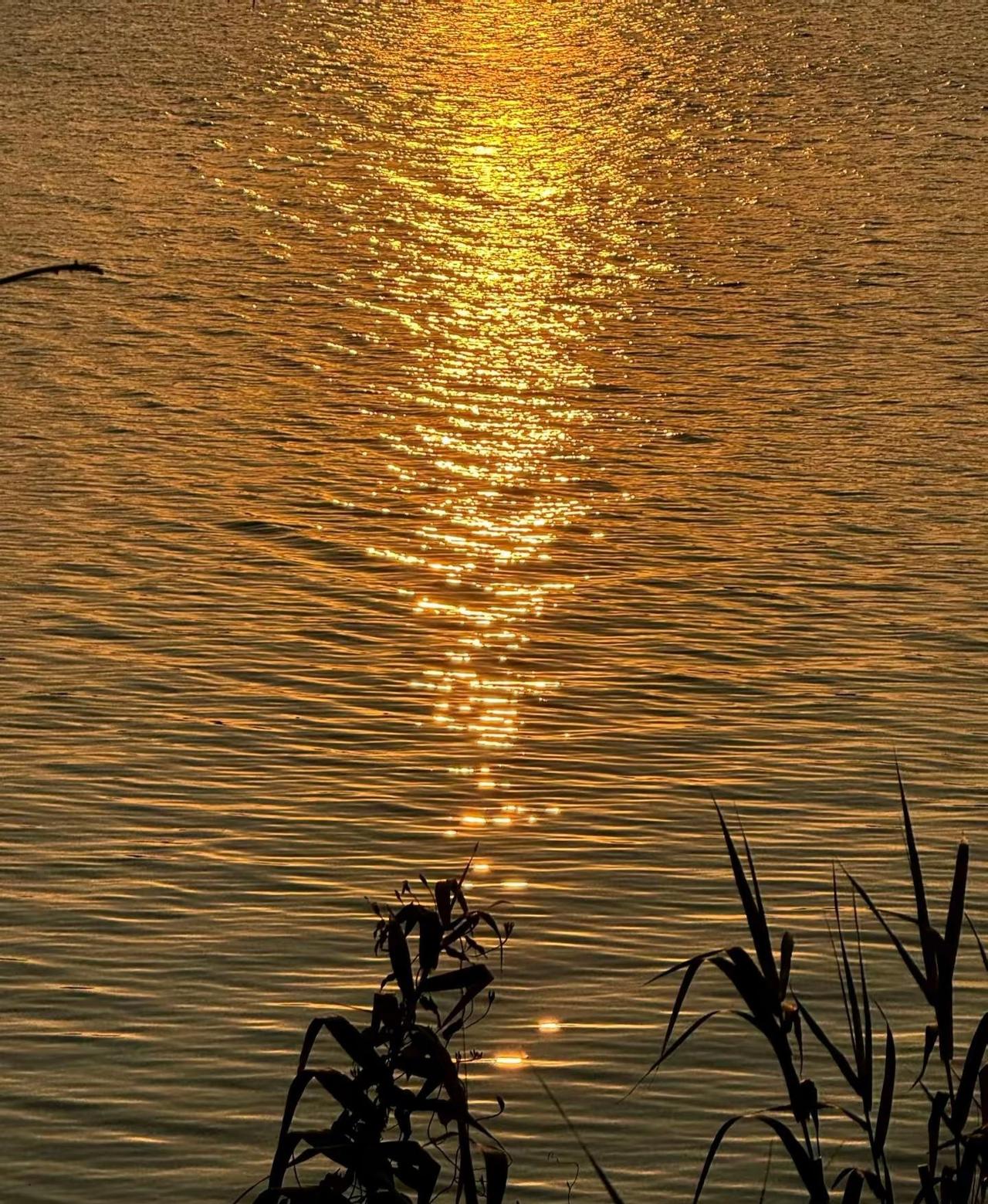 心静，处处皆风景。Day11心若安静，处处皆是风景。静心生活 治愈风景
