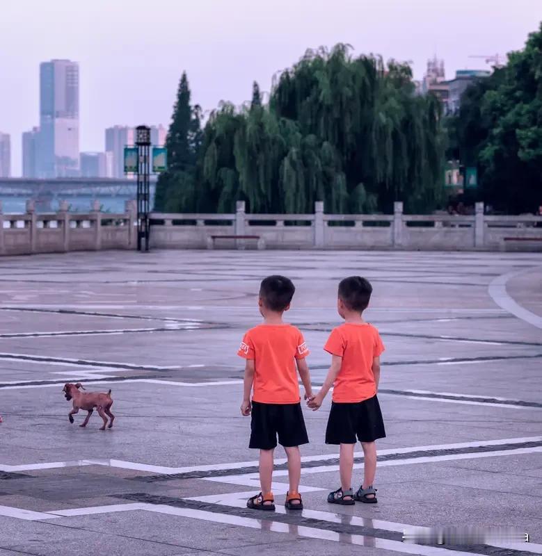 双子们集合！2026年1月23日运势大揭秘！
这一天整体运势一般，生活和工作里有