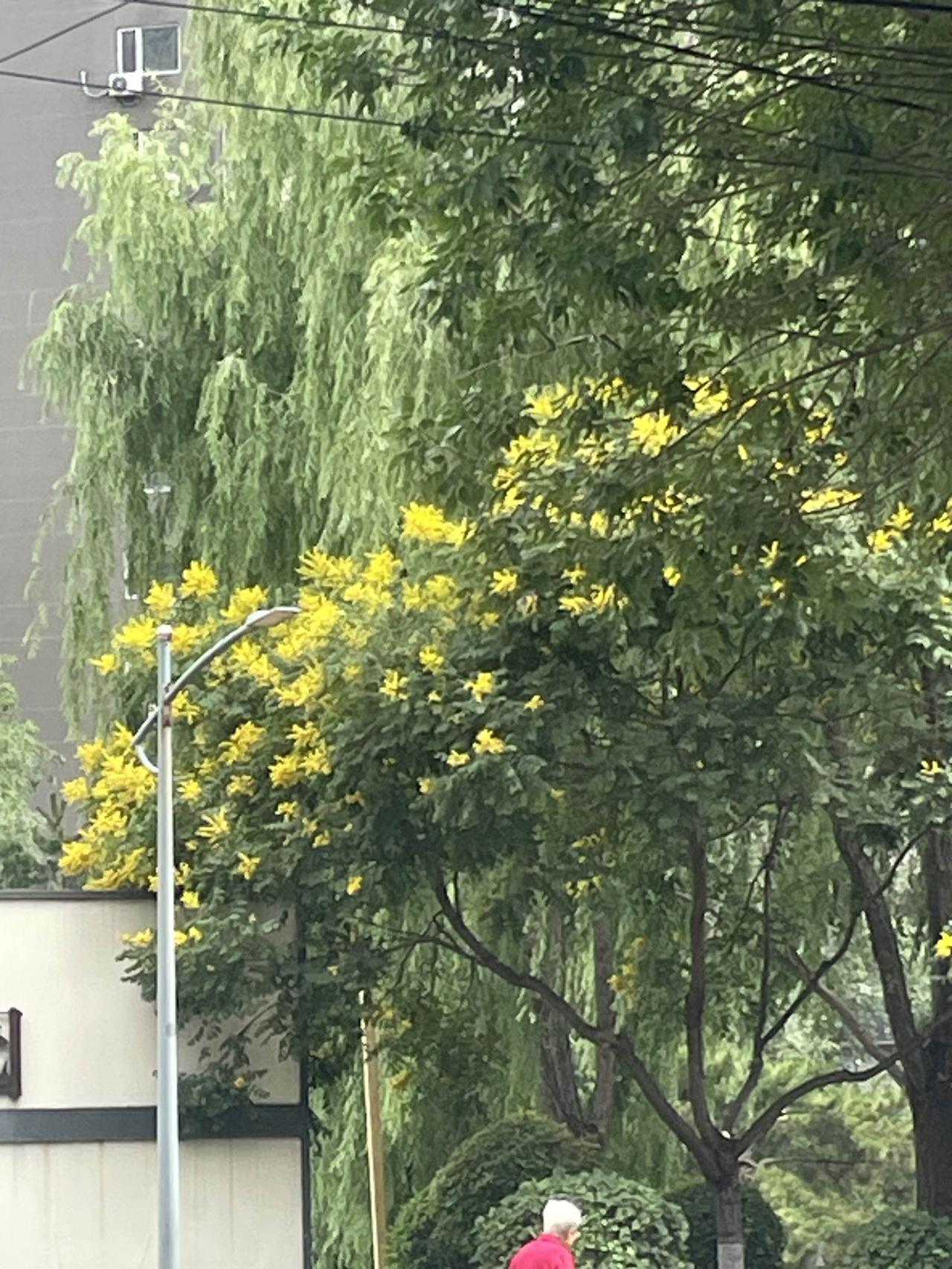我的今日状态：😁轻松愉快
我这里的天气：🌤️多云