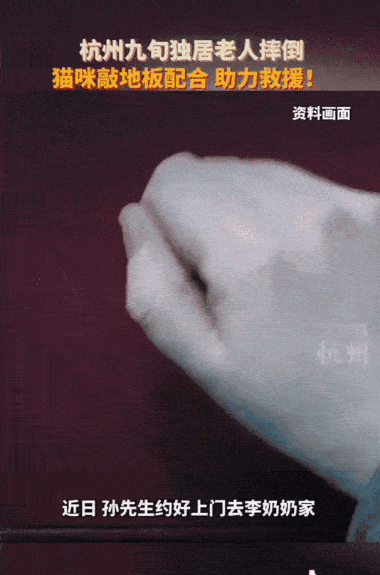 浙江杭州，90岁的李奶奶独居，这一天她摔倒昏迷，失去意识。家里却发出了“咚咚咚”