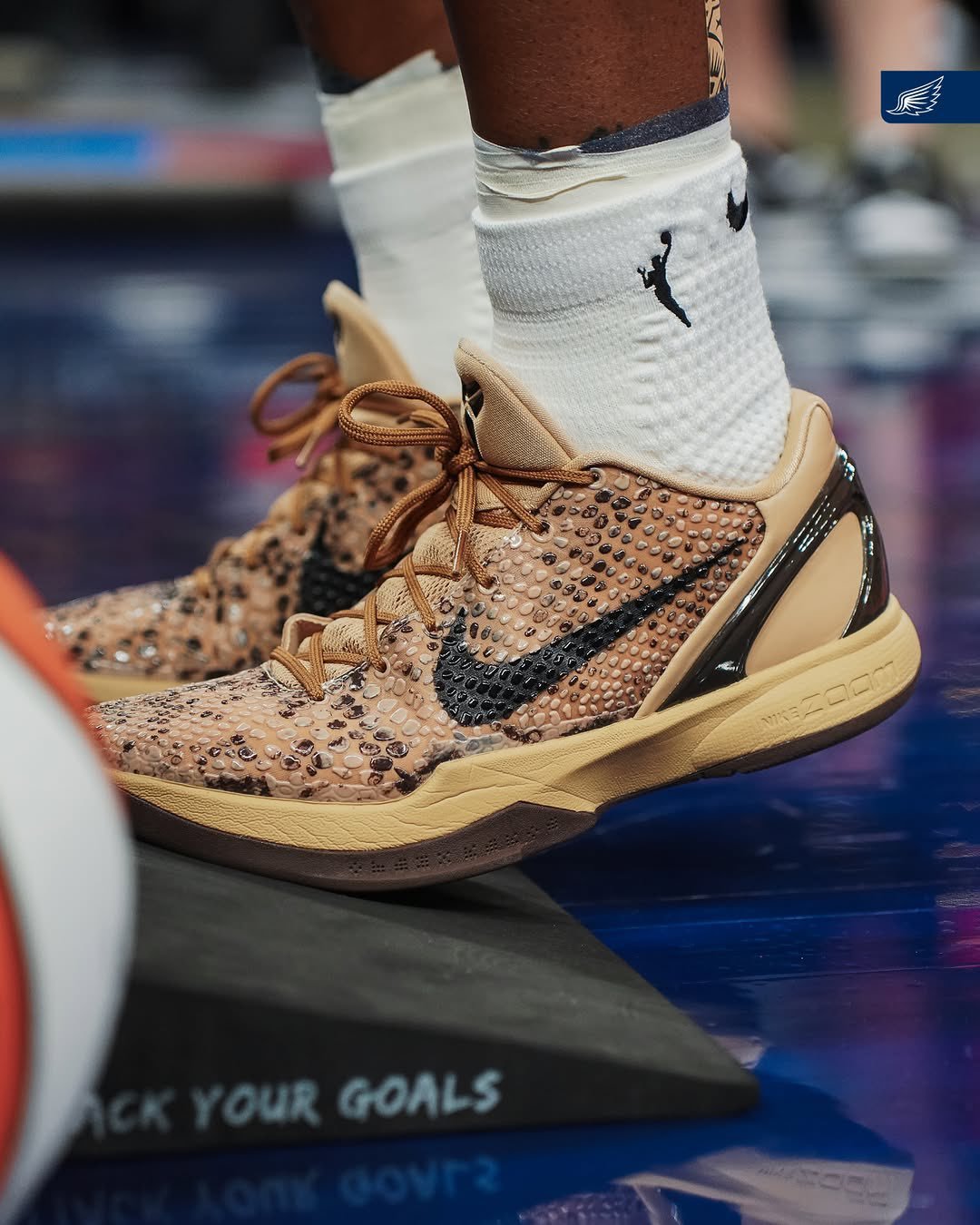 Kobe 6 Protro PE WNBA球员上脚全新配色这个比较狂野鞋控的日常