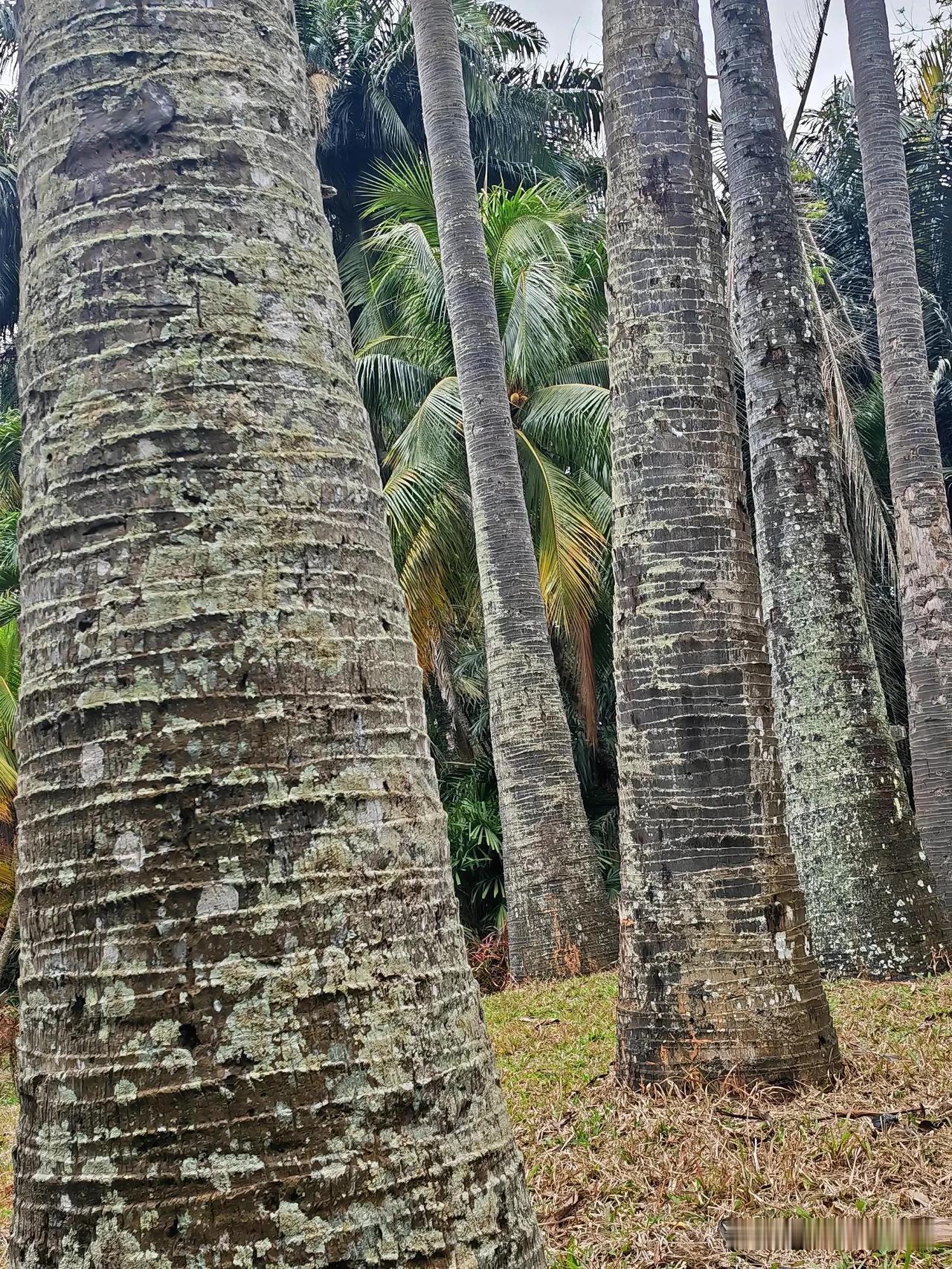 呵呵呵，5600的工资，在当下的生活成本面前，其实不算高，但一天能抽上一包24块