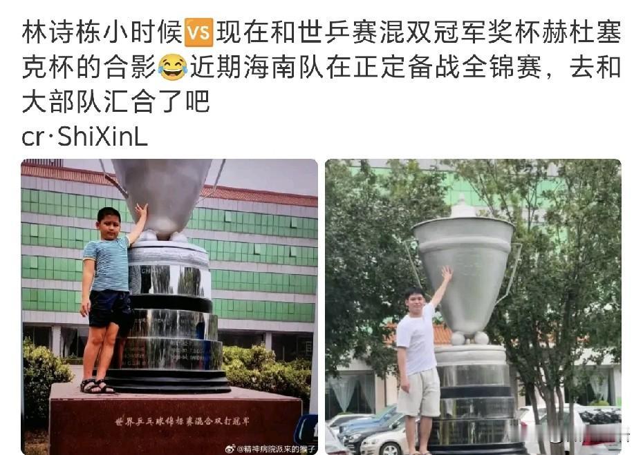 林诗栋去河北正定备战全锦赛了。
怪不得今天林诗栋发抖音，看到他去了河北，原来海南