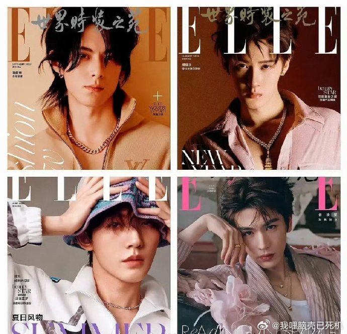 流量生elle封面ELLE拍的王鹤棣檀健次邓为张凌赫 流量生elle封面，ELL