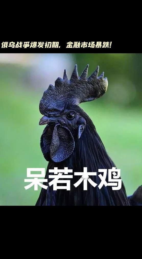 战争对股市的影响直接而干脆！俄乌战争爆发初期，俄罗斯rts指数暴跌，俄罗斯最重要