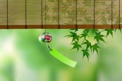 要期待着发生变化，而且还要去追寻变化。——斯宾塞·约翰逊《谁动了我的奶酪》