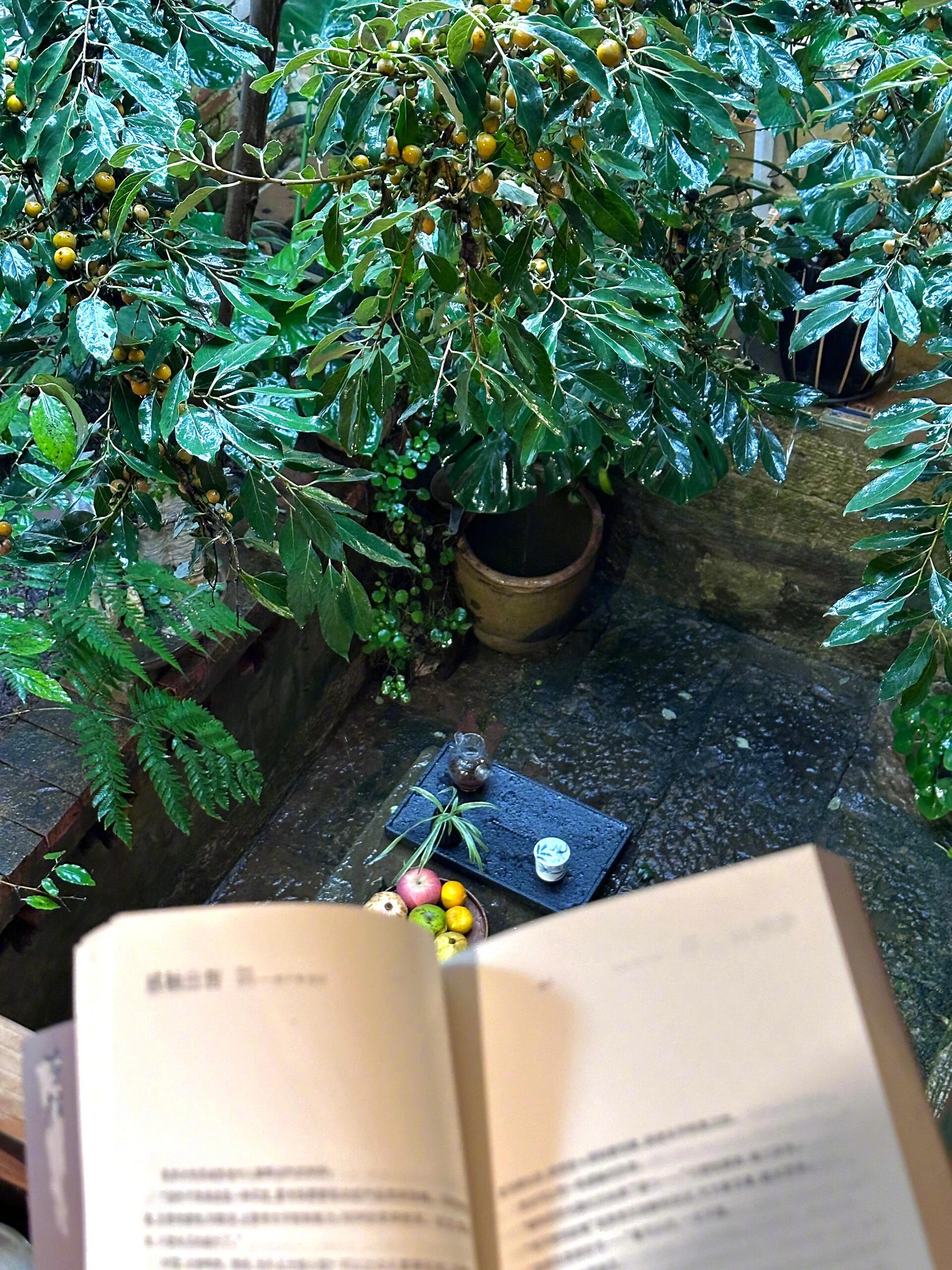 “疏雨可靜聽，急雨可安眠。” 