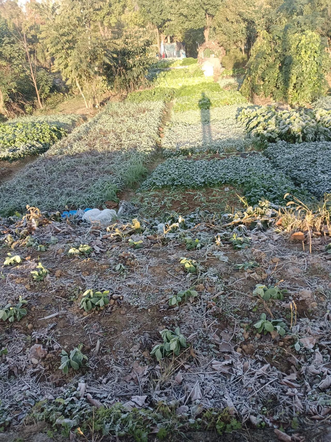 一句话分享今日感悟今天是11月29日，天气晴，早上去过早，看到孝感市孝南区这里的