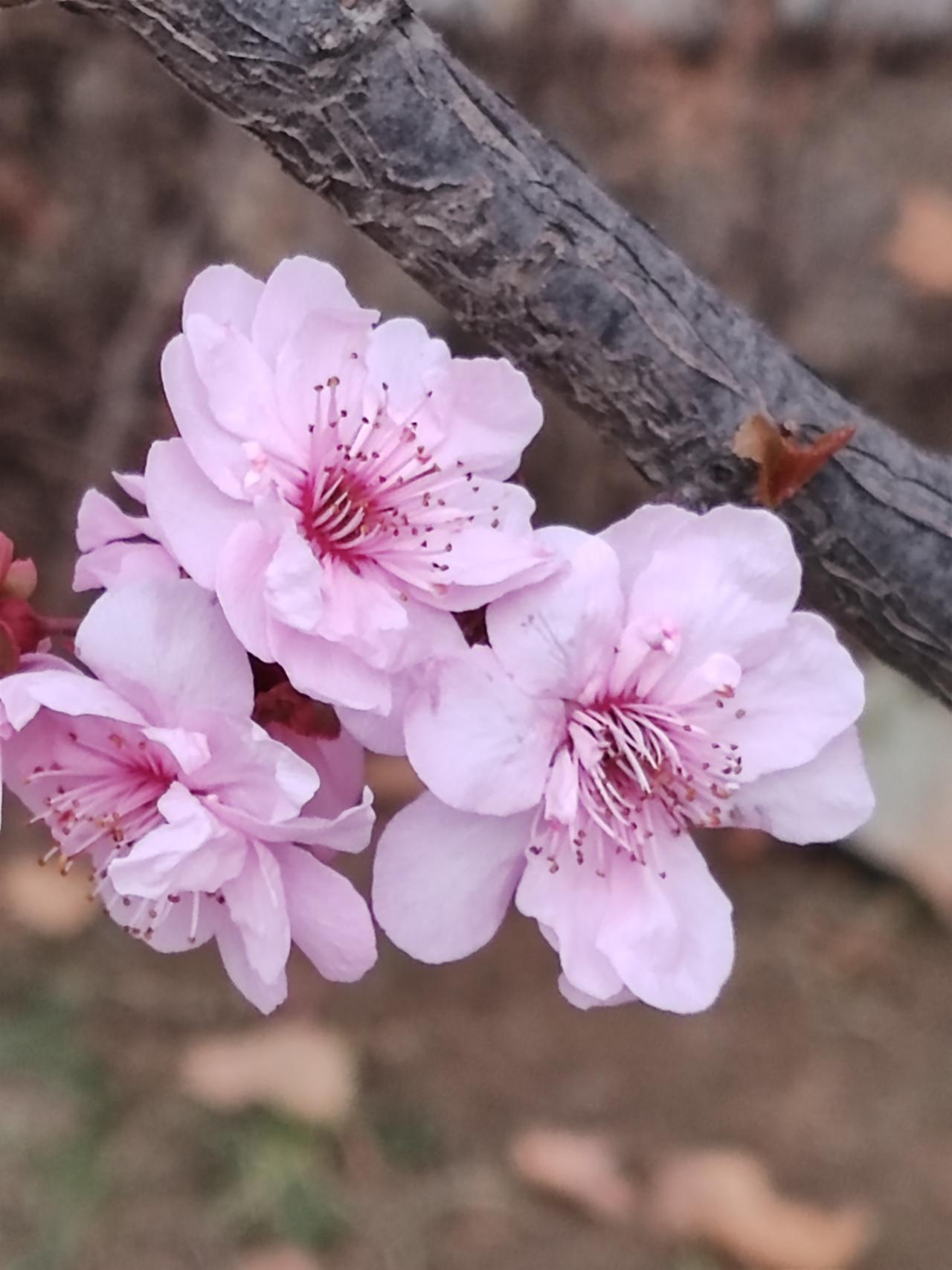 去住个十天半个月估计还行，时间久了怕是会觉得寡淡。你想想，她对当地轻车熟路，你却