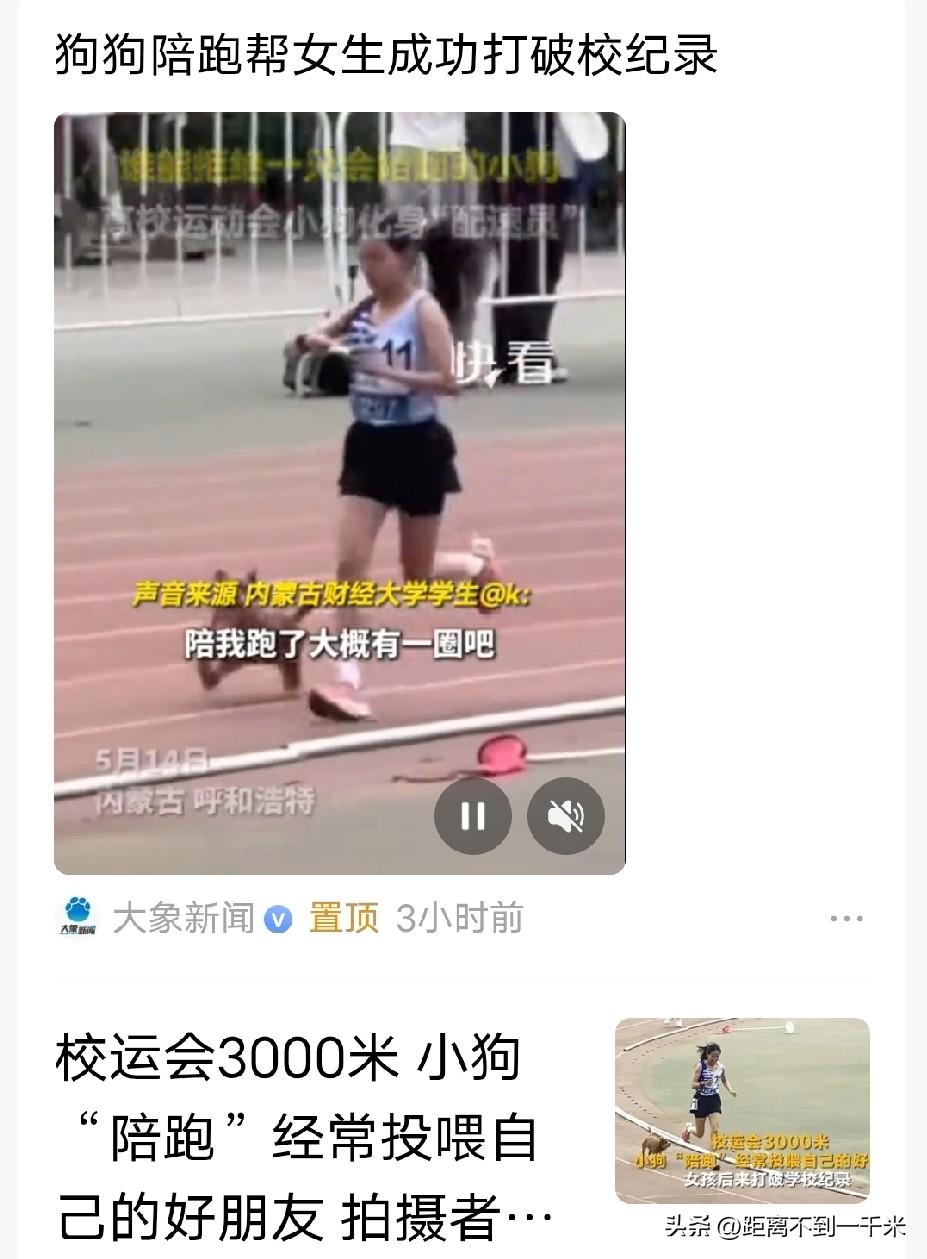 内蒙古财经大学的女子参加校运会
忠诚的狗狗当陪跑员
记录我的2026
都说狗狗是