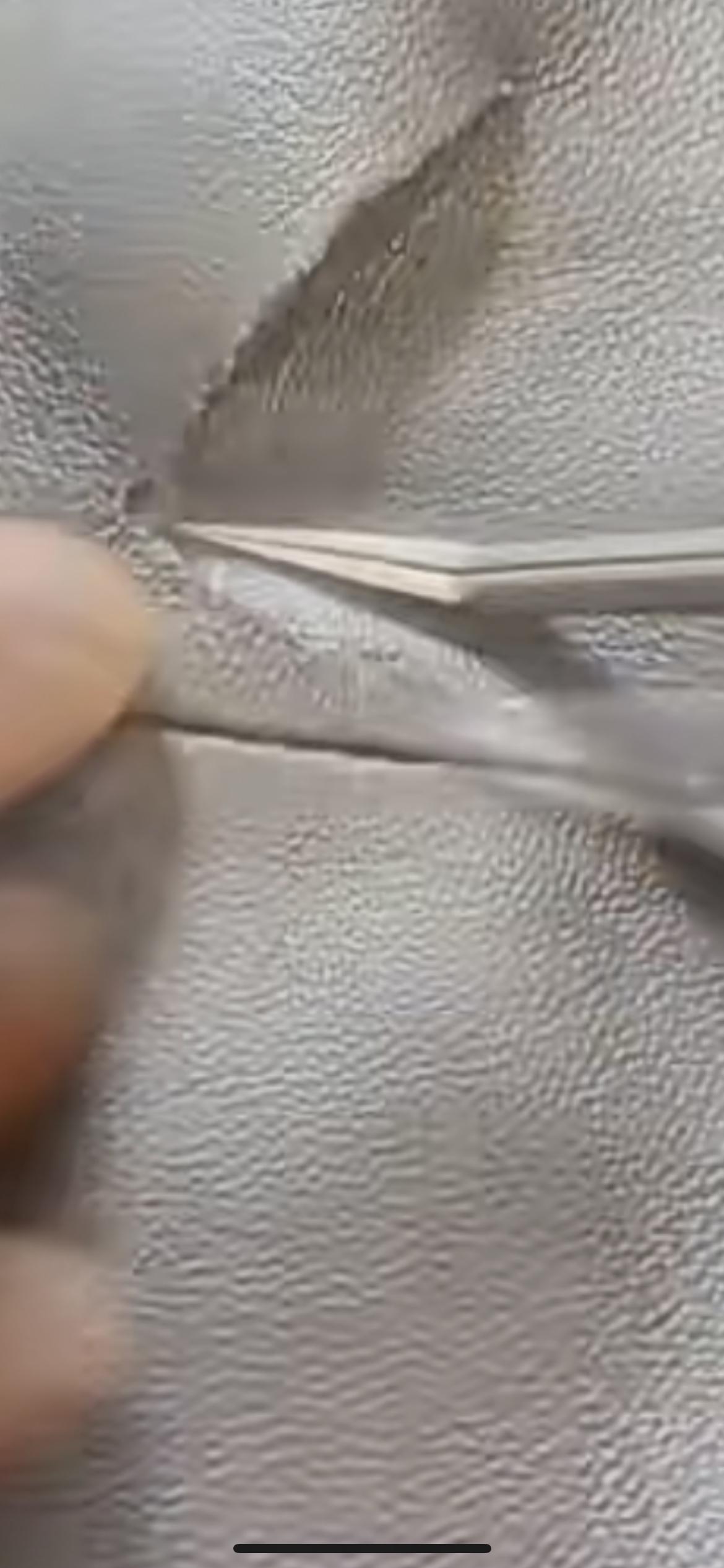 消费者该如何保障自己的合法权益？男子2621元买的利郎皮衣，刚买8天就开裂便出现