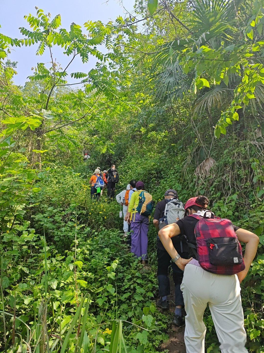重出江湖！竹林深深，花香蝉鸣。减掉五六斤，爬山轻松很多，还看到好大一条蛇，晚上回