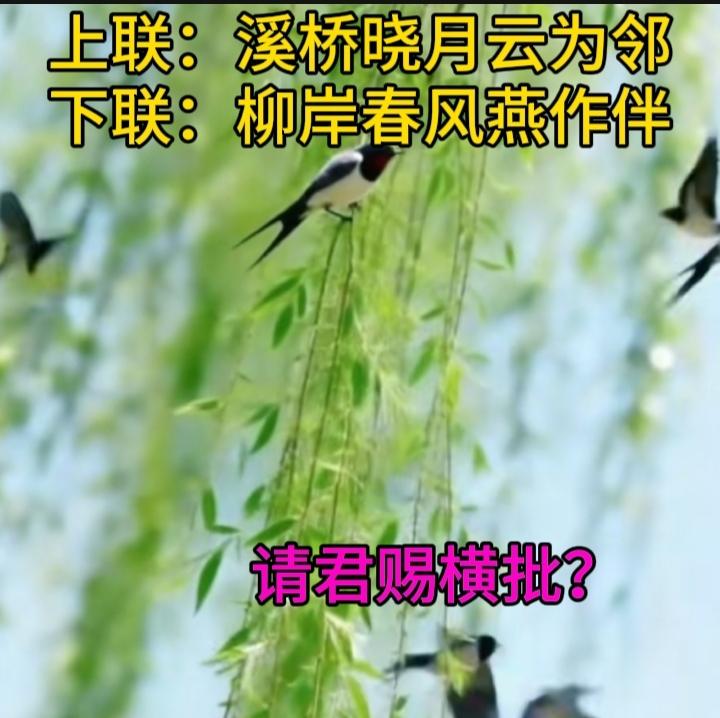 下联：柳岸春风燕作伴
请君赐横批？