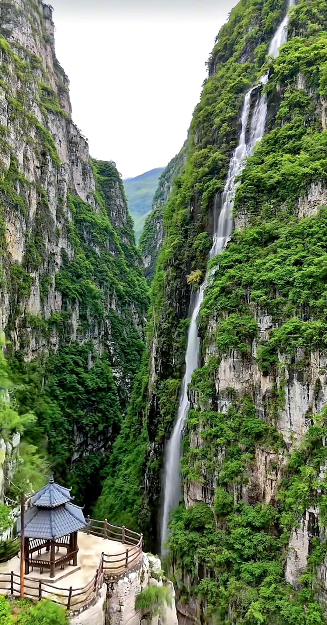 人之苦，在于追求“超出自己能力”的东西 

是鹰雕，便翱翔于蓝天；  
是山雀，