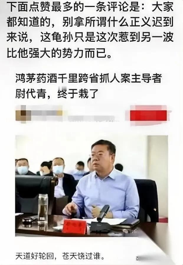 熬了五年。

总算落网。

当年动手抓人的那位，自己栽进去了。

别扯什么天道好