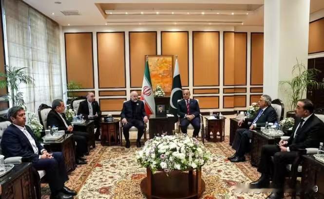 出动20架战机护航伊朗谈判代表团，巴基斯坦协助将伊朗代表团送回国——据路透社透露