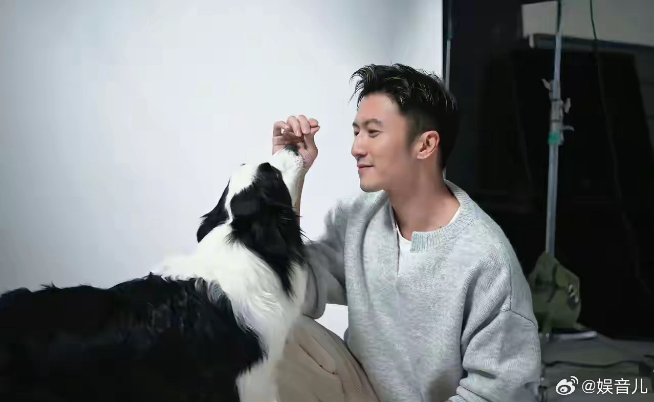 谢霆锋在深圳演唱会上，听说了七只狗狗走了17公里找回家的故事，当场就决定把他那支