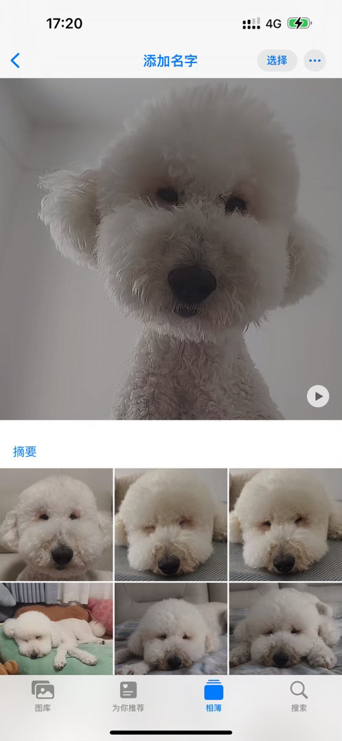 刚才清相册的时候发现ios给牛奶准备了一个狗脸识别单人相册…🙏 