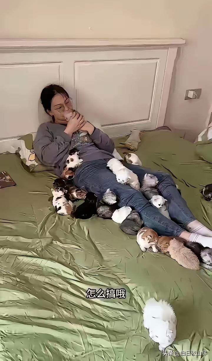 一位网友发帖求助，家里89年的侄女，顶着985博士光环，在科研机构工作，月薪高达