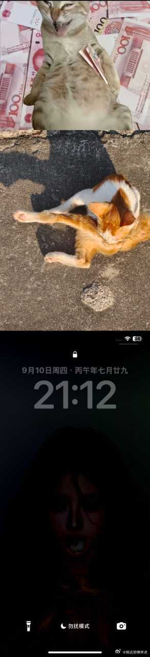 查看备用机相册的时候，前面都是很开心温馨的照片，结果突然弹出来这么一张照片，把我