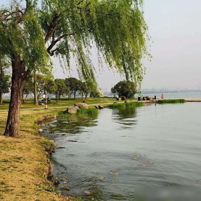 我发现，今年的中秋节有五个反常的现象。说实话我家也一样，老母亲糖尿病三年了，月饼