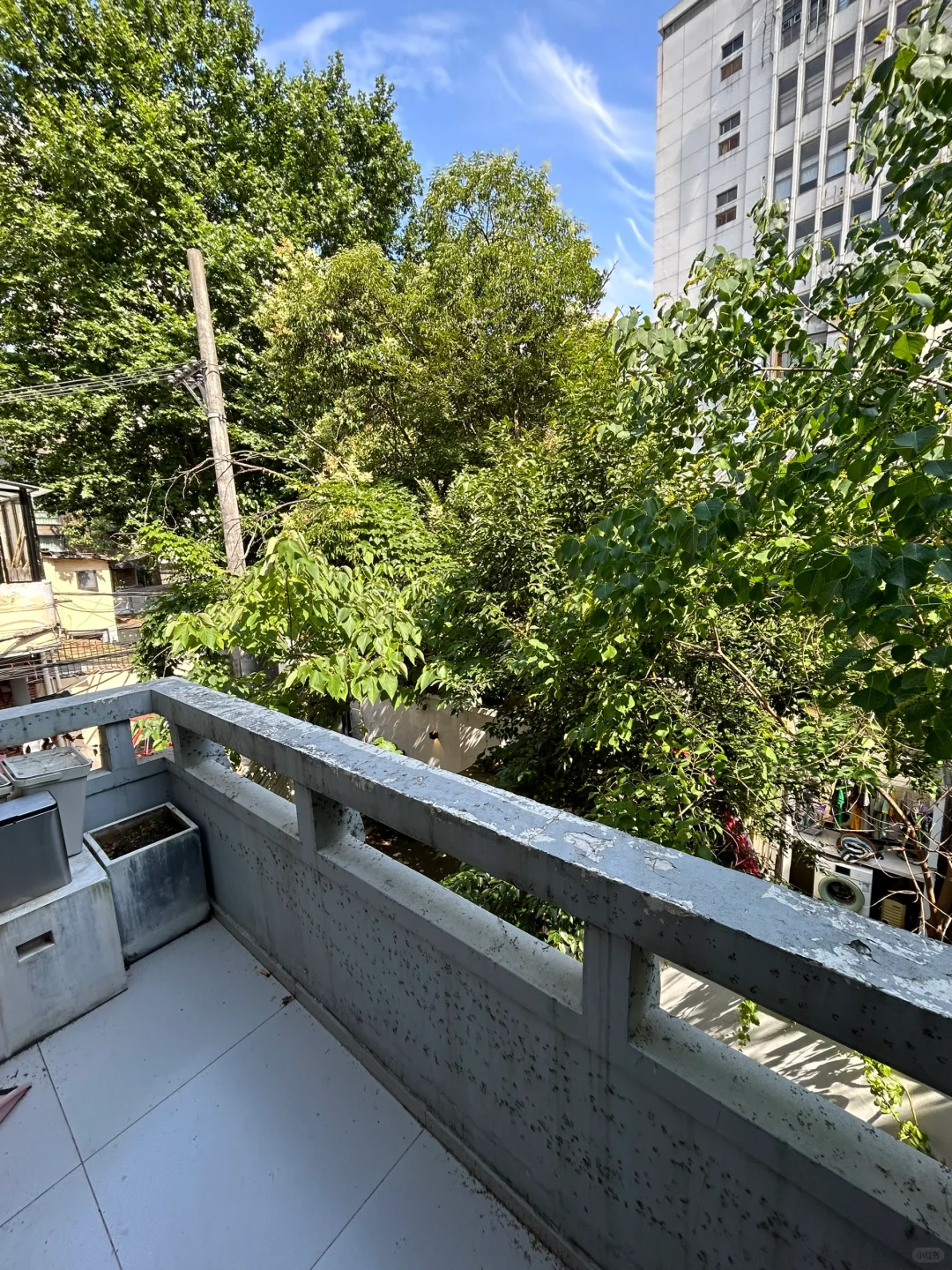建国西路小森林🟩