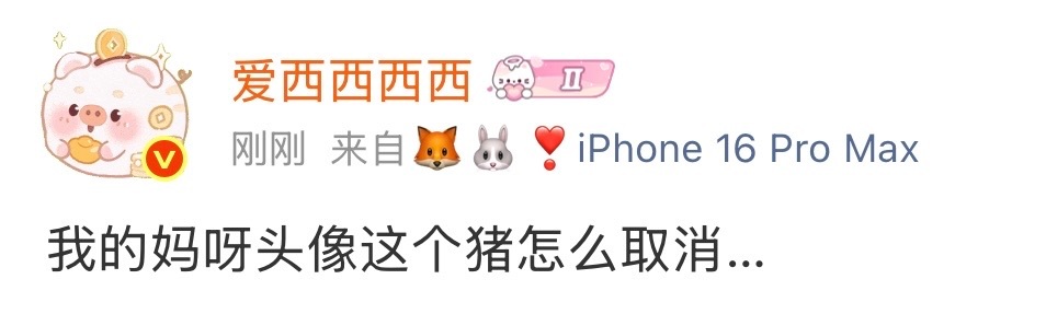 卧槽我回来了再也不手贱了这个什么元宝挂件