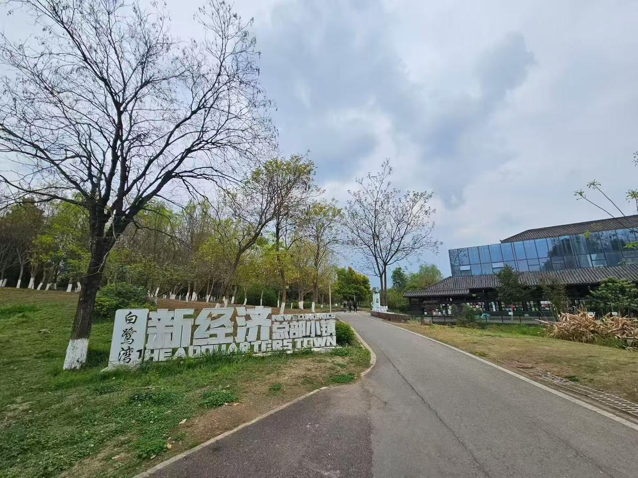 春日生活打卡季春日漫行白鹭湾，新经济小镇的玻璃幕墙映着云影，刚抽芽的新绿在风里舒