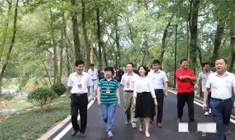 别看李佩霞书记级别不高，只是个正科级干部，但人家出行照样前呼后拥的，这阵势跟毛奇