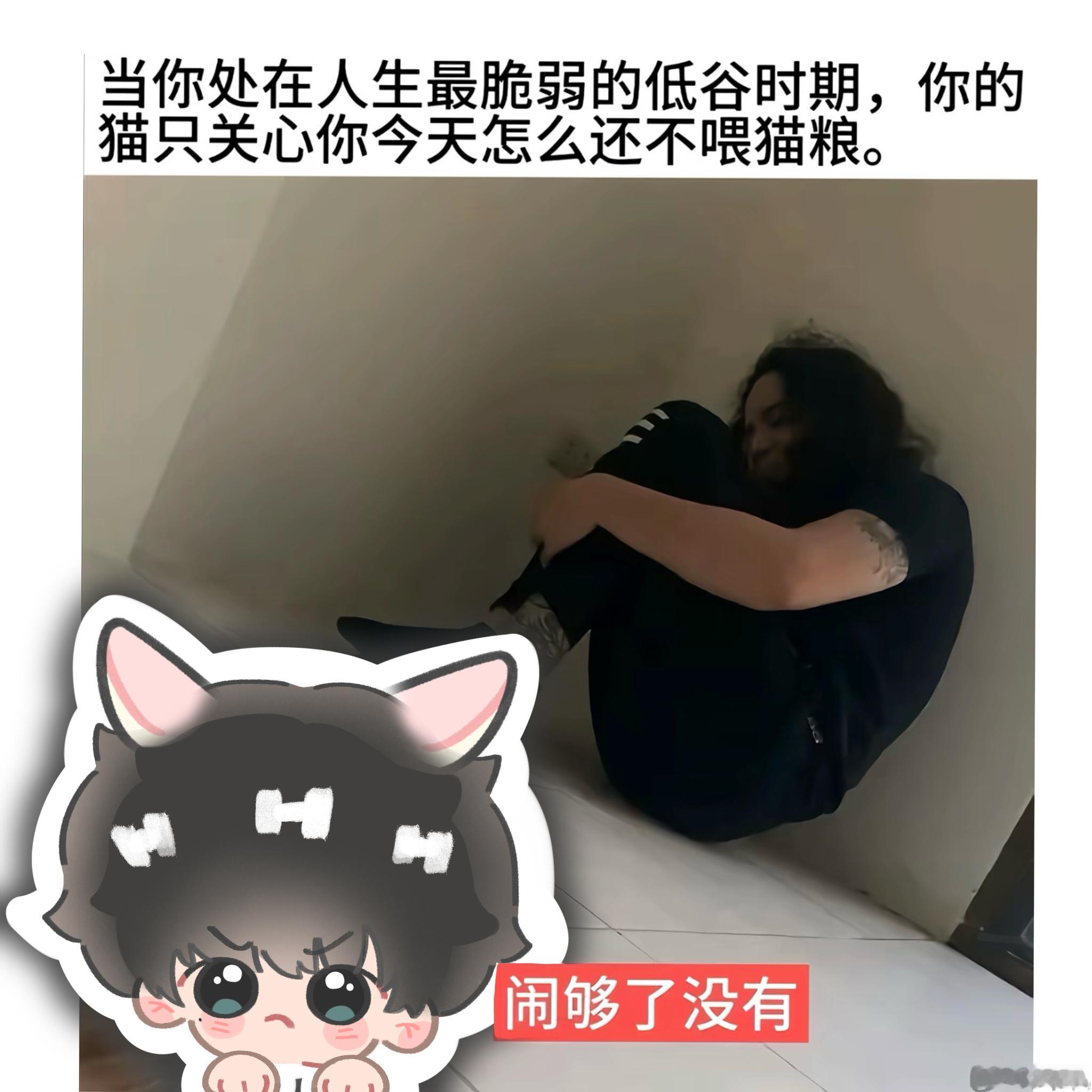 张子墨     张子猫：叽里咕噜的说什么呢？我饿啦😾  专栏 · 小馍的产出˶