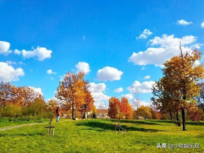 北方朋友早就裹上厚外套了，我们这儿冷空气翻山越岭过来，力气耗得差不多了，秋老虎愣