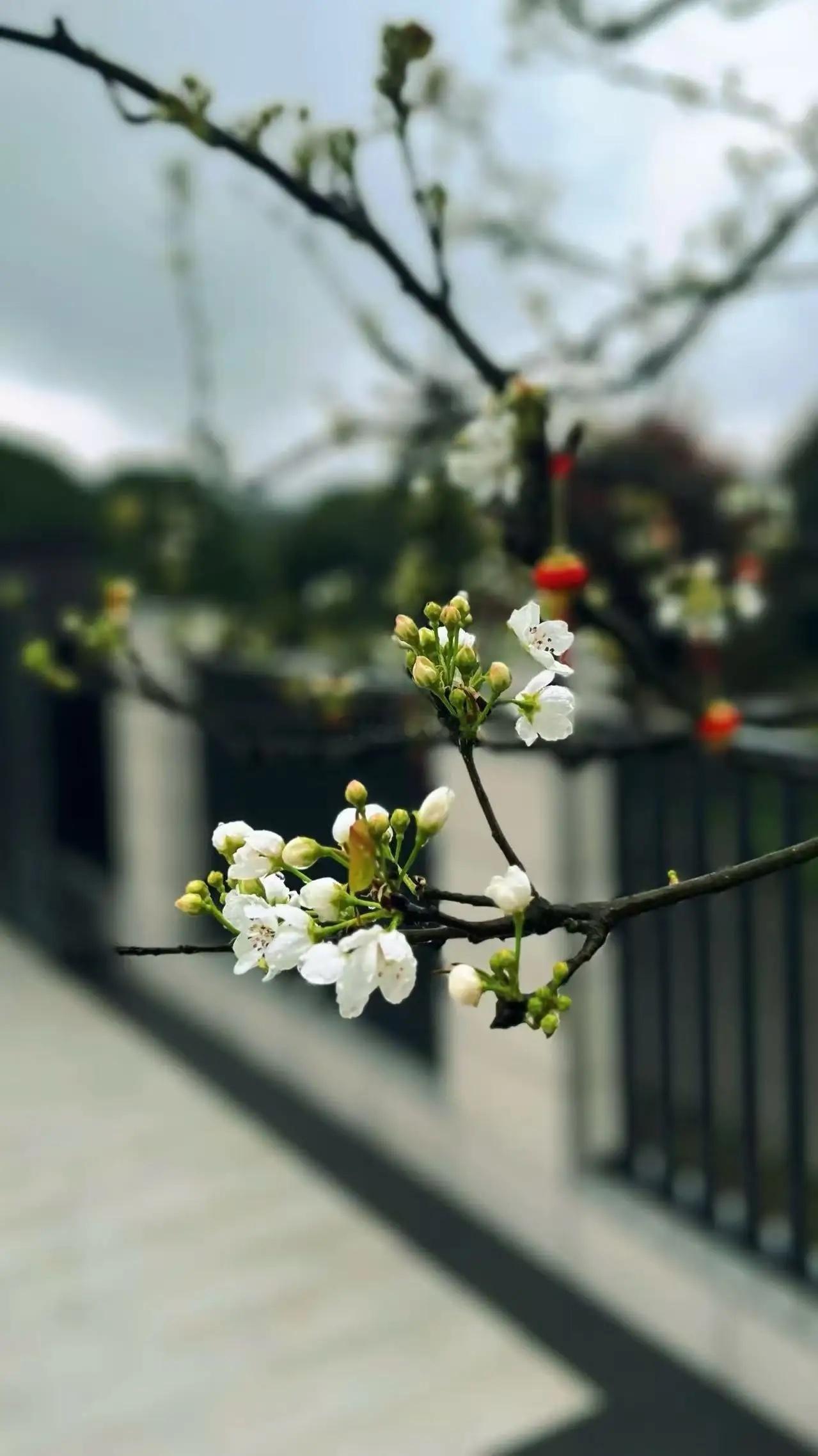 今日看盘  今天的A股，真让人捏把汗！上证指数接近平盘，但看个股和板块，那叫一个