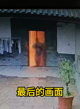 丽江失联女大学生已确认身亡，
20岁女大学生程霞的人生，
永远停在了玉龙雪山的悬