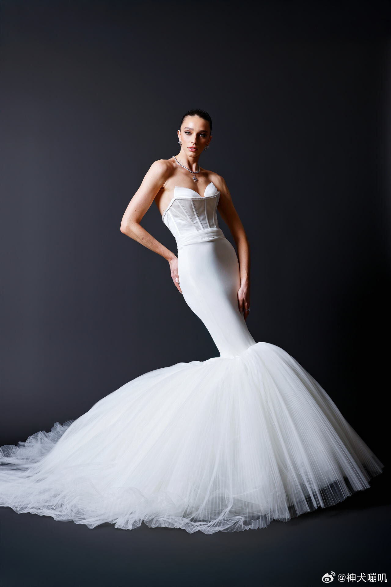 Christian Siriano 婚纱 2027 