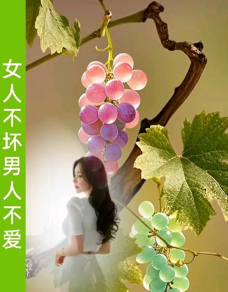 女人不坏，男人不爱
 男人就爱坏女人
为啥？？？
1. 女人不坏男人不爱，那一抹