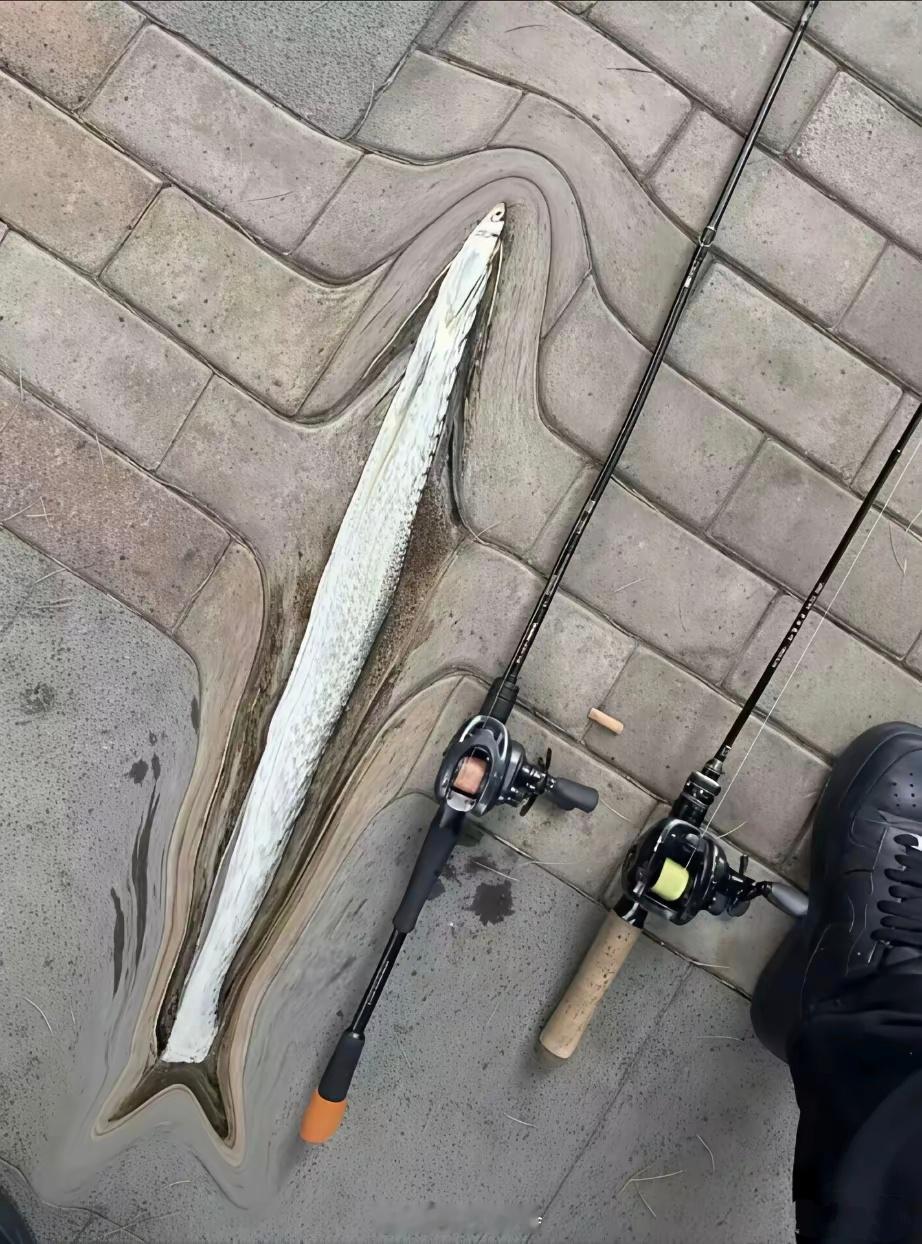 某钓鱼老哥的朋友圈：今天钓到条大鱼！朋友留言：这鱼不光大还挺重，地砖都压变形了[