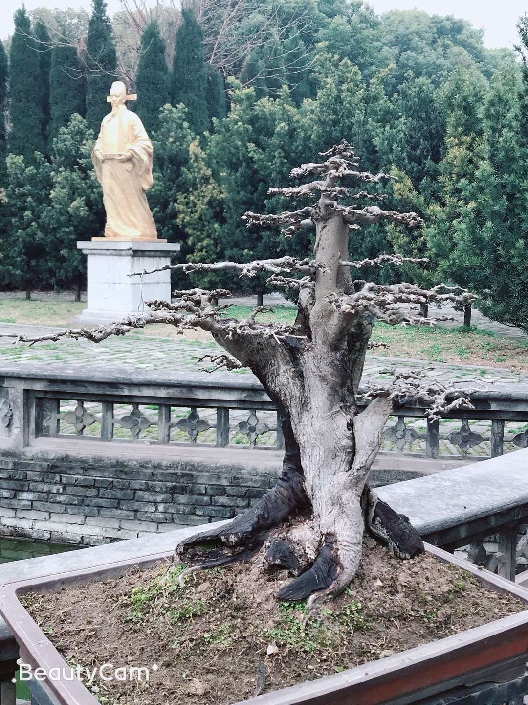 博物馆  走进张居正故居，探寻明朝名相的风云印记。张居正故居，坐落于荆州古城东大