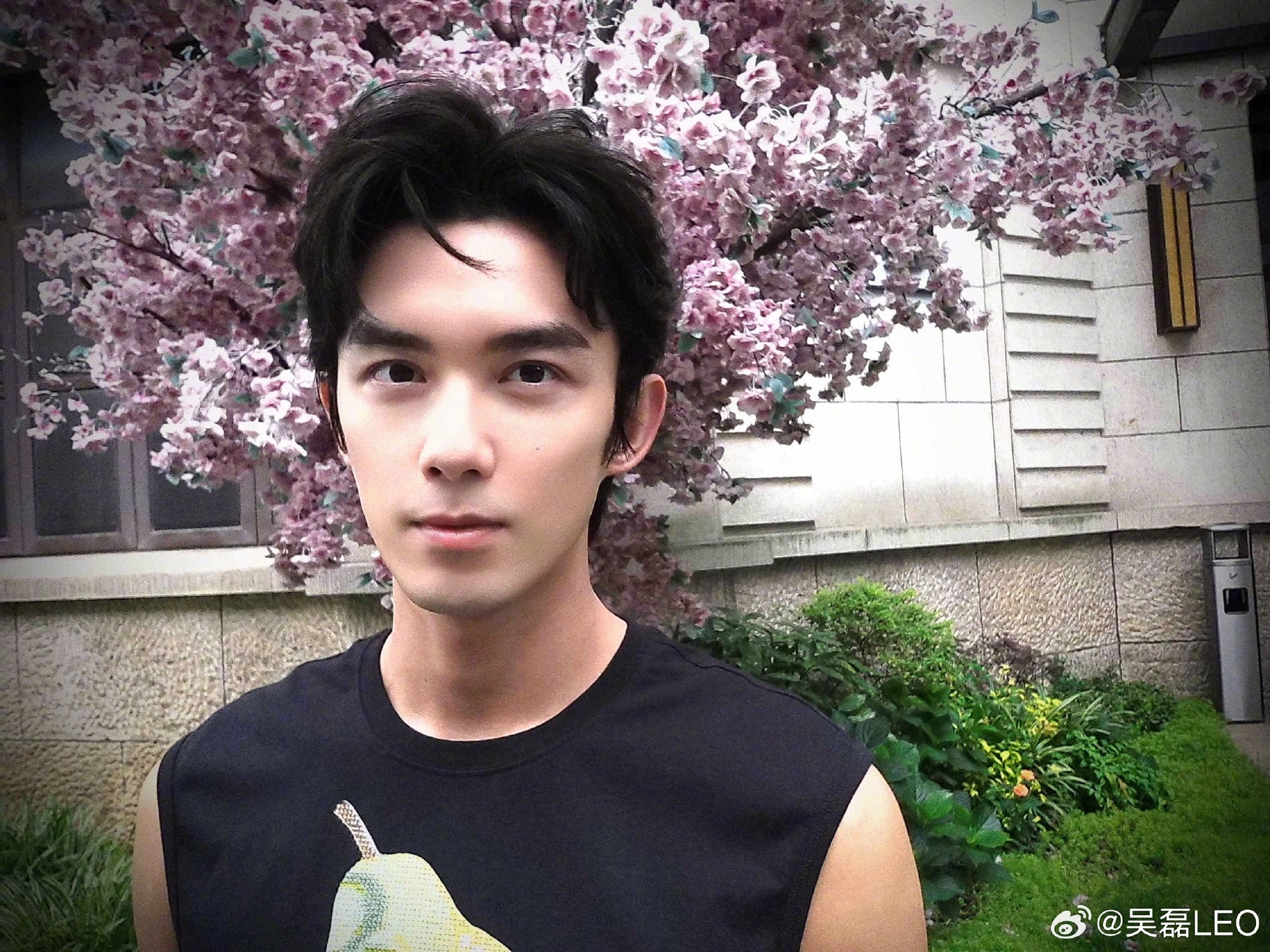 #吴磊问了一个大家都想问的问题# 哈哈哈哈 吴磊是我的嘴替吧！ ​​​