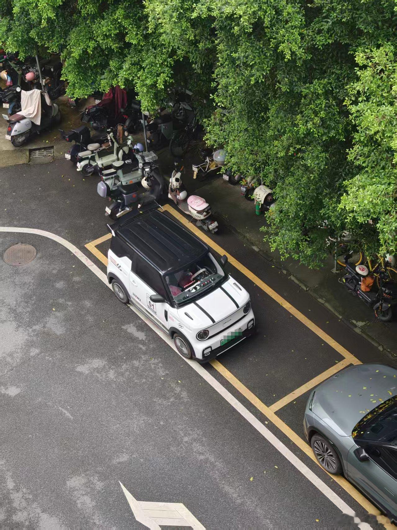 实在忍不了我们公司楼下这台吉利熊猫mini这么大车位，这么小的车，停成这样子你叫