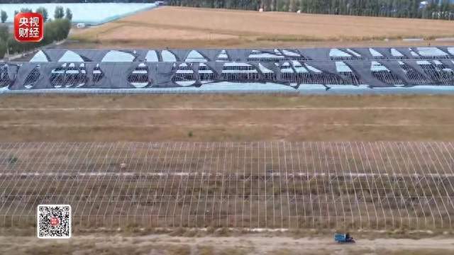 1.2亿农业项目彻底烂尾！空壳公司入局圈钱，惠民工程沦为闹剧