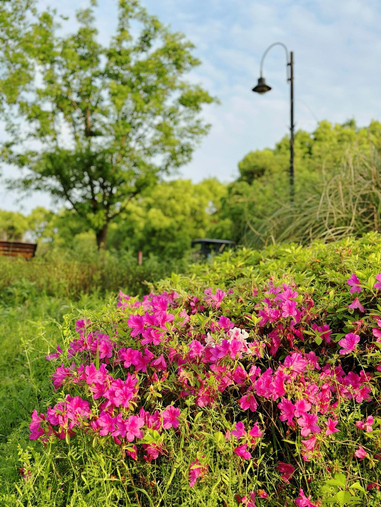 面对偏心的老人：高人教我的处世智慧，不争、不扛
 
在咱们的生活里，谁家都有老人