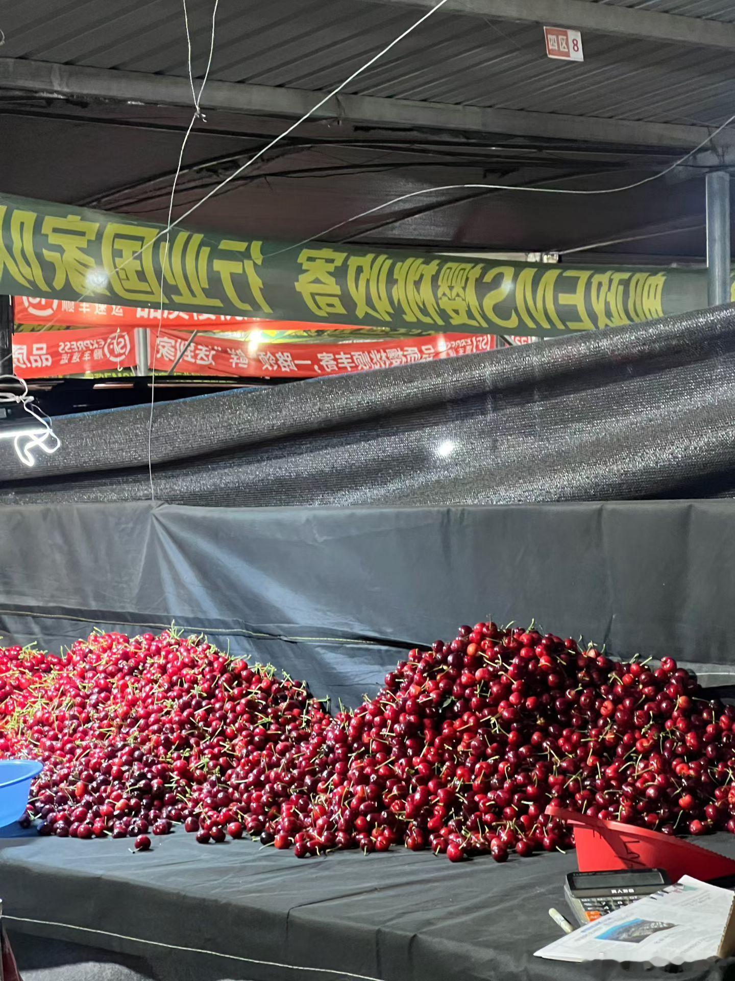 又 是 一 年 🍒 自 由 