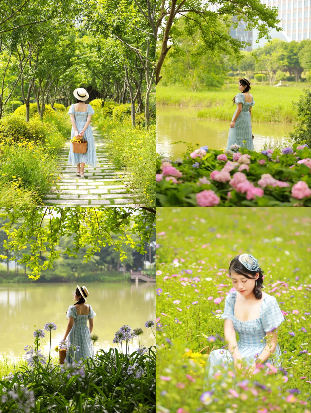 福州｜花海公园的花花又上新了！真的太美了！