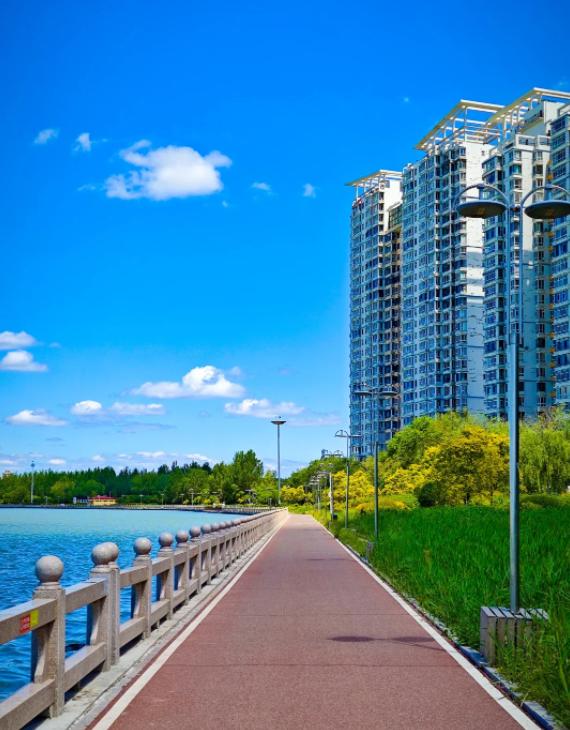 印度奇招：用鳄鱼毒蛇守国门？
亲爱的朋友们大家好，我是海林小百科！今天我们来看看