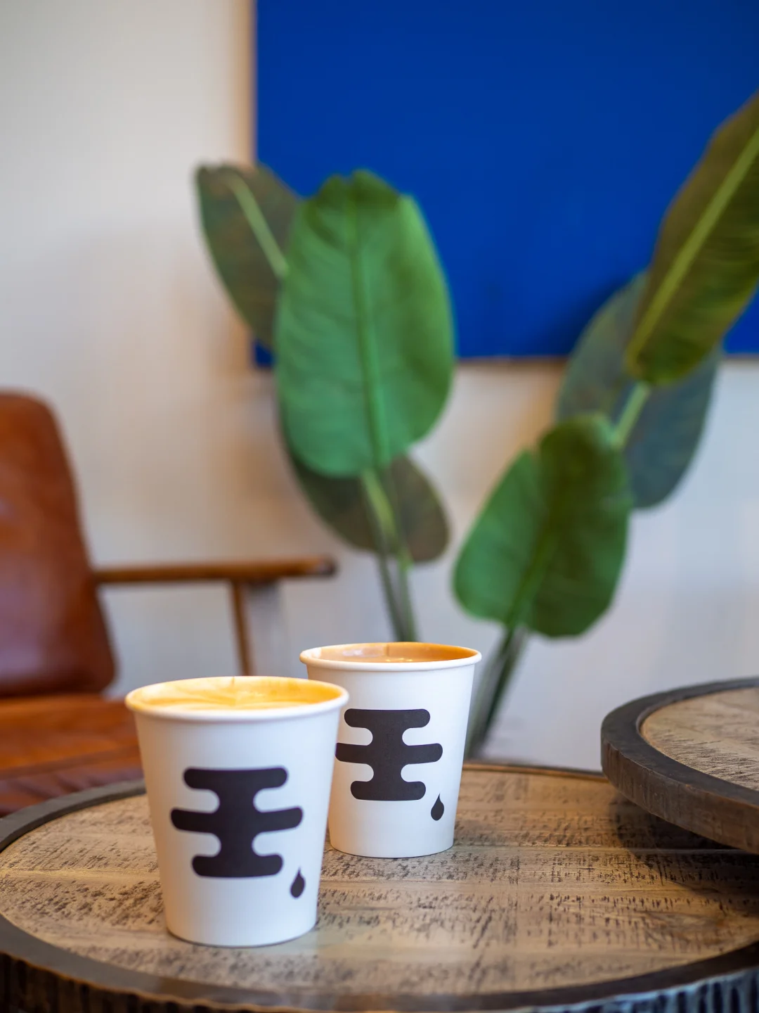 湾区美食｜居然是在一个住宅楼里的tono☕️