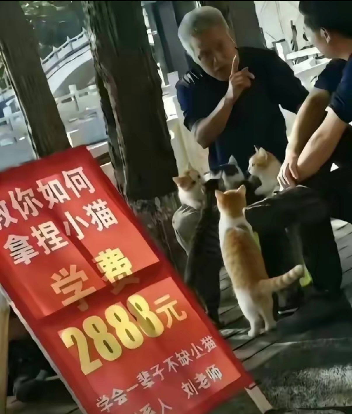 还有教这个的？ 