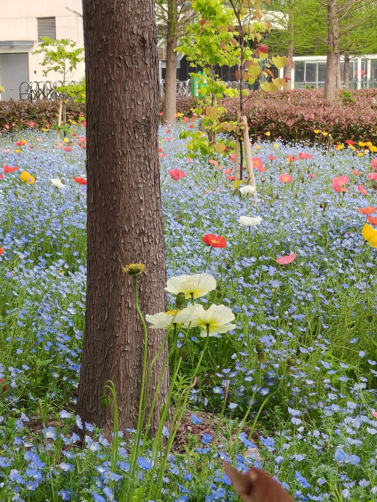 ☀️
美好的一天开始啦！

努力和上进
不是为了给别人看
而是为了不辜负自己
不