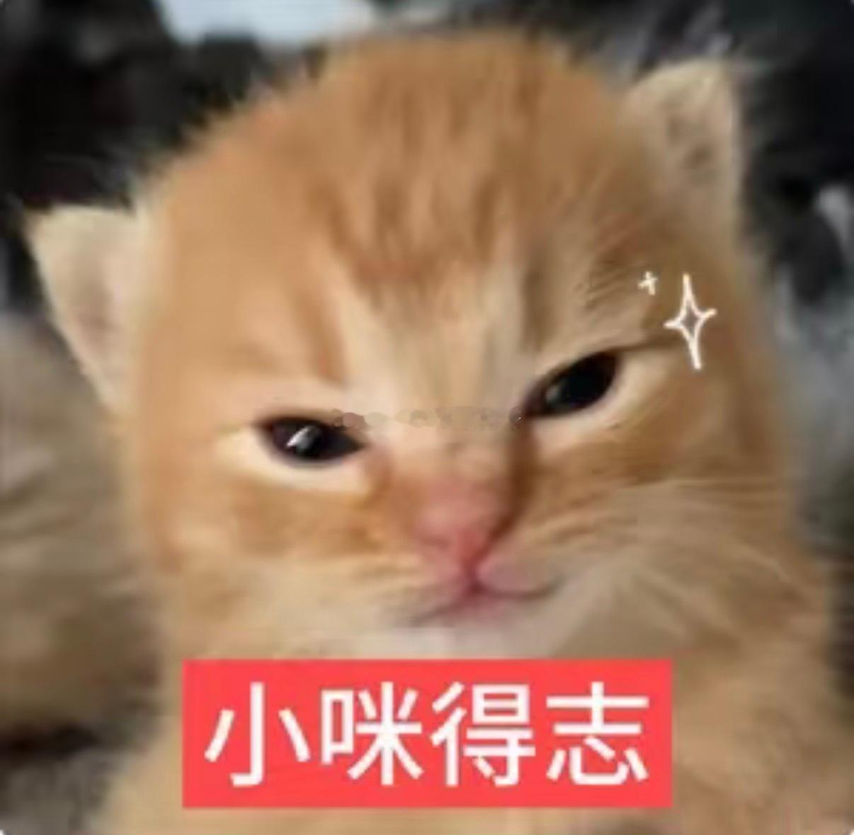 早早早！昨晚睡得挺好的嘿嘿睡前又玩了一遍蜜莲没嘟但某人一个劲地在旁边闹我给我整累