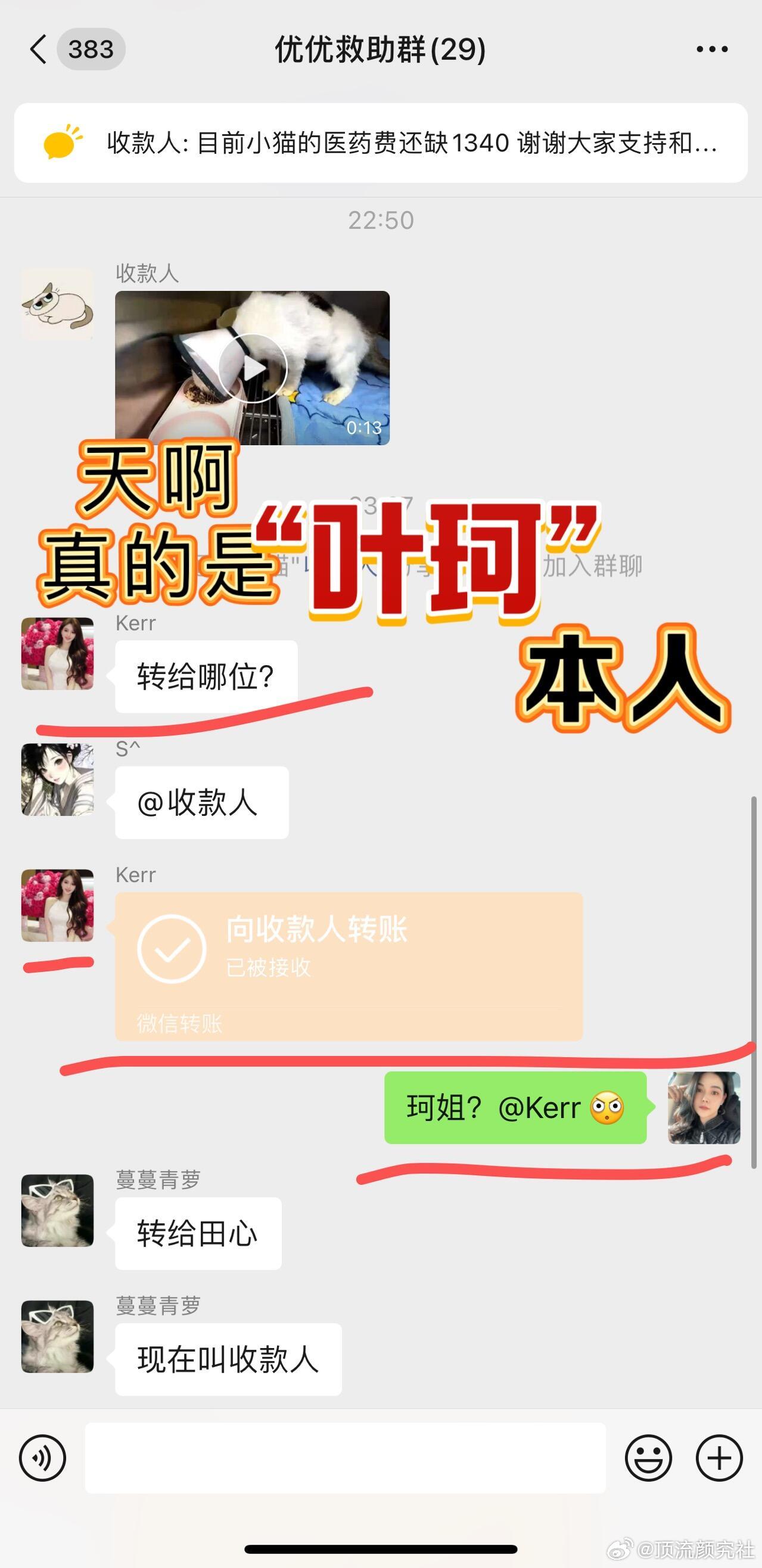 叶珂被爆凑钱救助流浪猫，真是人美心善啊 ​​​
